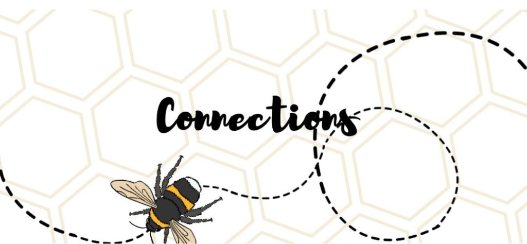 Script writing over a honeycomb background says "Connections" and a bee flies around the image