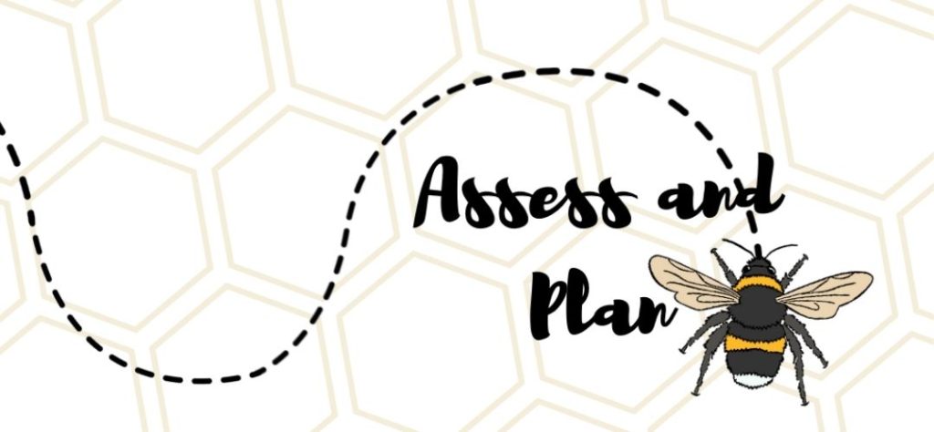 Script writing over a honeycomb background says "Assess and Plan" a bee starts their journey from the bottom right of the image and flies over the writing towards the left
